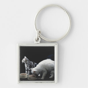 Cats with bowl of food keychain