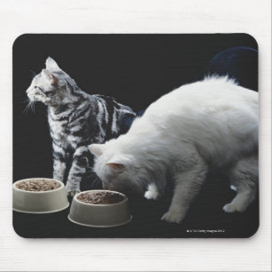 Cats with bowl of food mouse pad