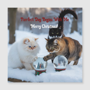 Cats with Snowglobes Customize Magnetic Card