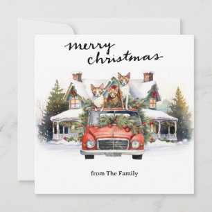 Cats with  Vintage Red Truck for pet lovers Holiday Card