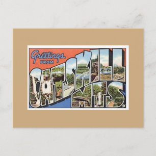 Catskill Mts. Vintage Postcard