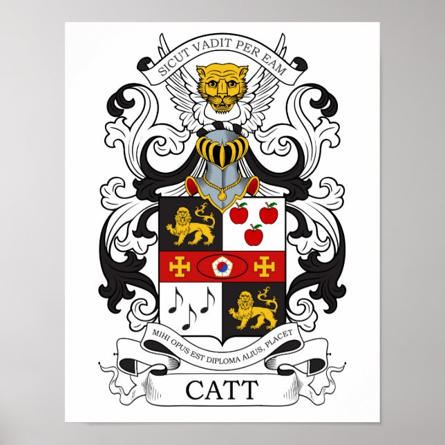 Catt Final 2 Poster (Front)