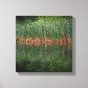 Cattail Reflections In Pond Orton Effect Canvas Print