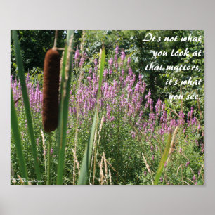 Cattail & Wildflower Inspirational Poster