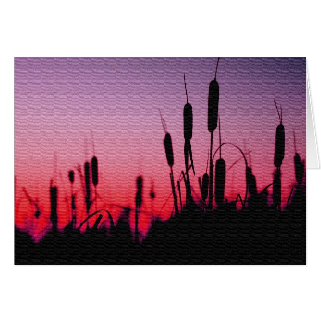 Cattails au coucher du soleil (Devant horizontal)