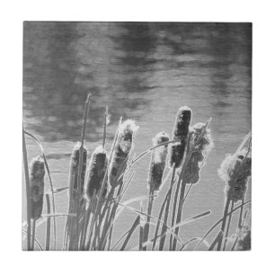 Cattails by the Pond in Black and White Tile
