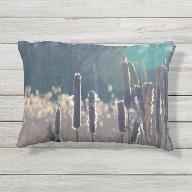 Cattails dans le Coussin Sun 16 X 12 (Dos)