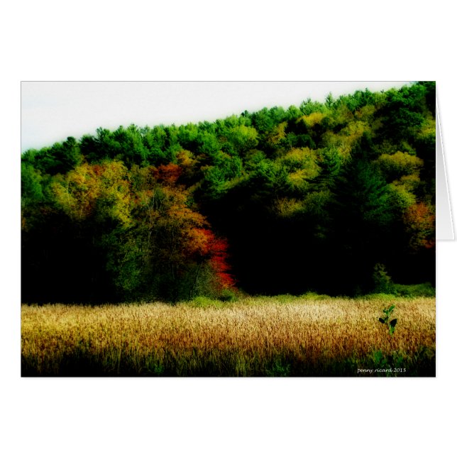 Cattails in New England in Autumn (Front Horizontal)