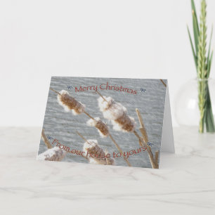 Cattails Merry Christmas Card