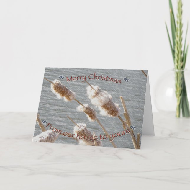 Cattails Merry Christmas Card (Front)
