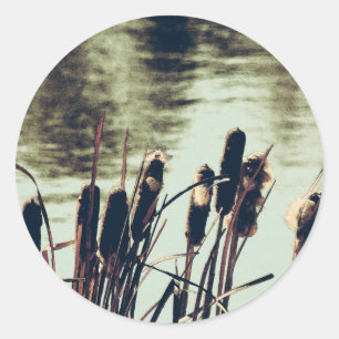 Cattails, Pond Plants Classic Round Sticker