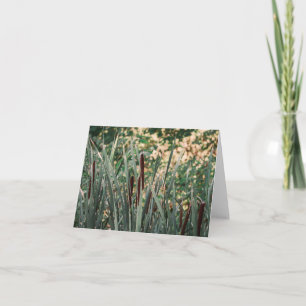 Cattails Thank You Card