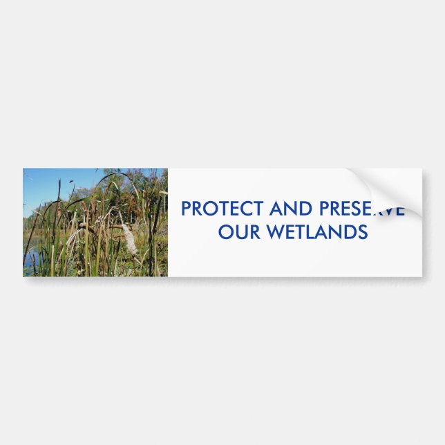 Cattails WETLANDS Bumper Sticker (Front)