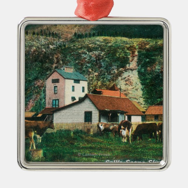 Cattle Amongst Barns SceneSkagway, AK Metal Ornament (Front)