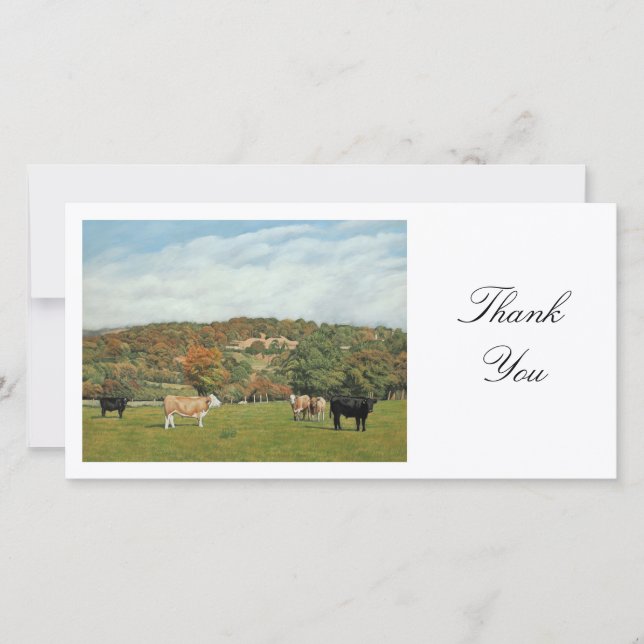 Cattle at Pentyrch - Thank You Card (Front)