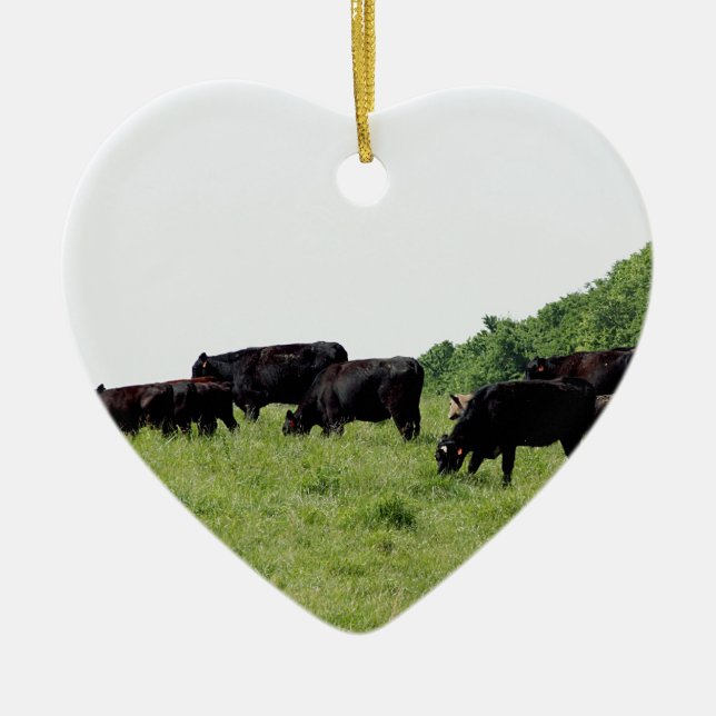 Cattle Black Angus Ceramic Ornament (Front)