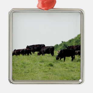 Cattle Black Angus Metal Ornament