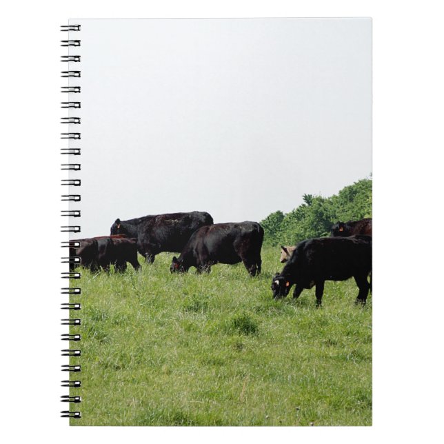 Cattle Black Angus Notebook (Front)