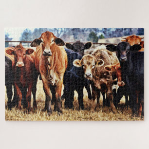 Cattle Color Variety Puzzle géant
