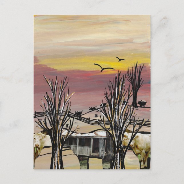 Cattle Country postcard (Front)