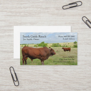 Cattle Dairy Farmer Business Card