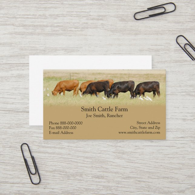 Cattle Dairy Farmer Business Card (Front/Back In Situ)