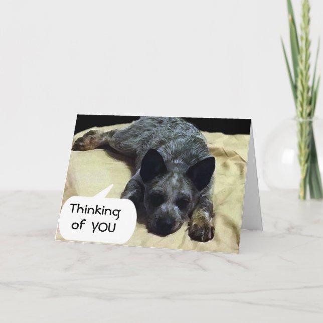 CATTLE DOG IS LONGING FOR A SPECIAL SOMEONE CARD (Front)