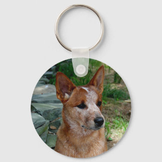 Cattle Dog Keychain
