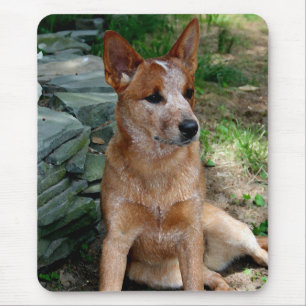 Cattle Dog Mouse Pad