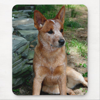 Cattle Dog Mouse Pad