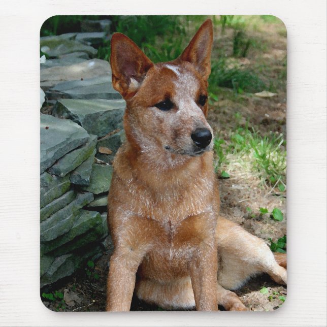 Cattle Dog Mouse Pad (Front)