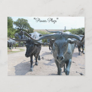 Cattle Drive # 5 Postcard
