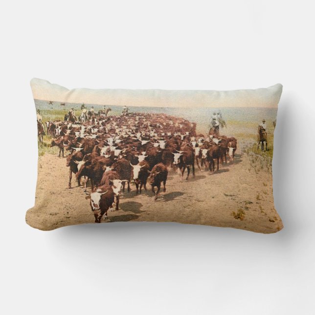 Cattle Drive Lumbar Pillow (Front)