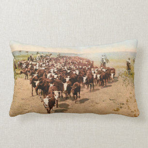Cattle Drive Lumbar Pillow