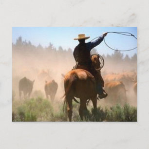 Cattle Drive Postcard