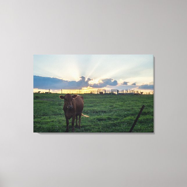Cattle Farm Sunset Canvas Print (Front)