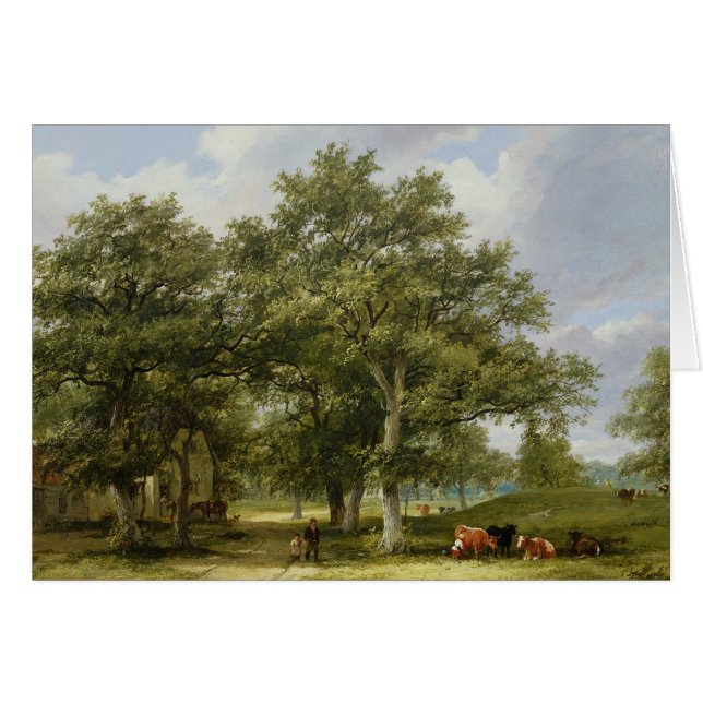 Cattle Grazing (Front Horizontal)