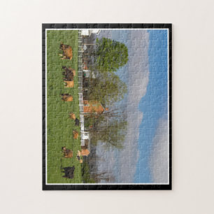 Cattle Grazing 11x14 Puzzle By Thomas Minutolo