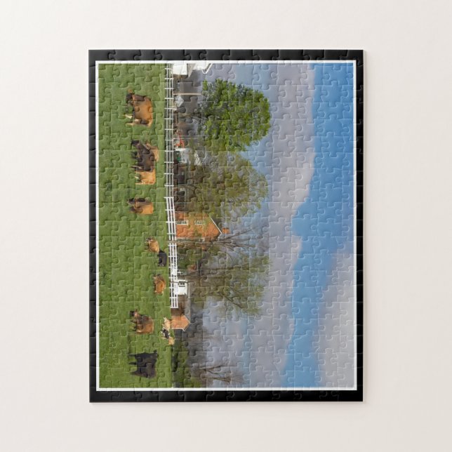 Cattle Grazing 11x14 Puzzle By Thomas Minutolo (Vertical)