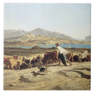 Cattle herding near Marseilles, 1853 (oil on canva Tile