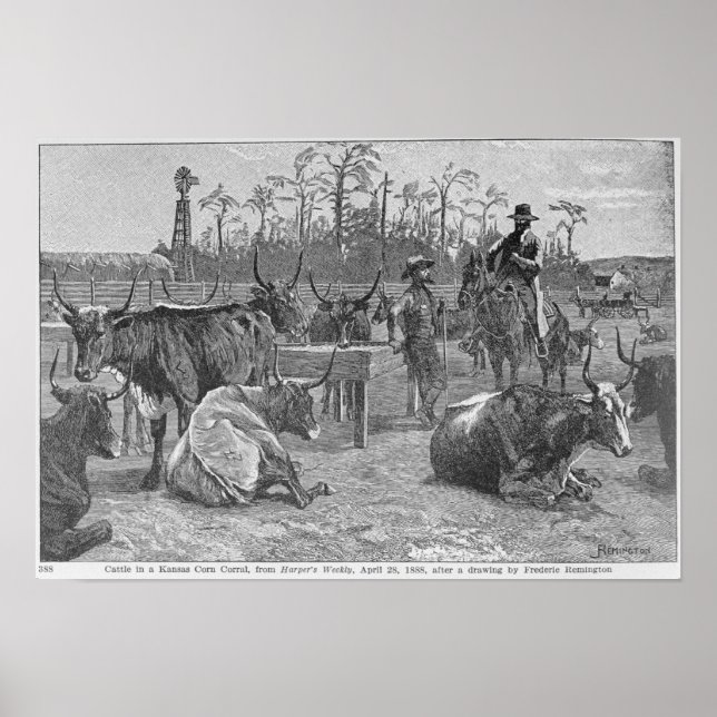 Cattle in a Kansas Corn Corral Poster (Front)