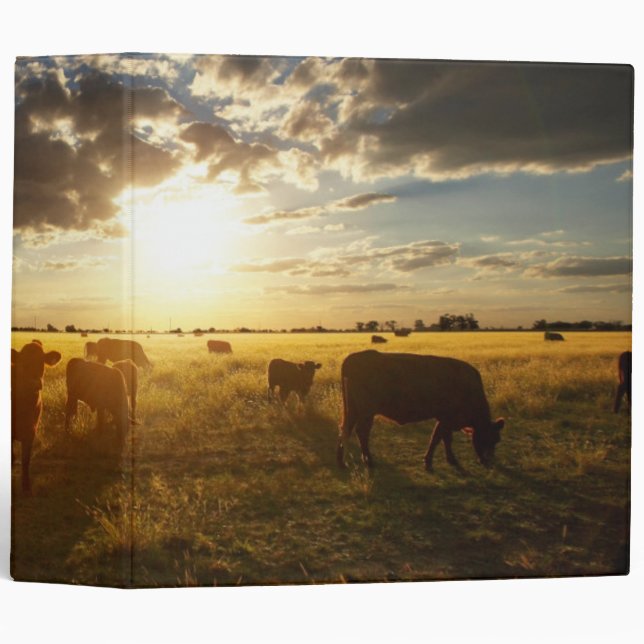 Cattle In Field, Sunset Binder (Front/Spine)