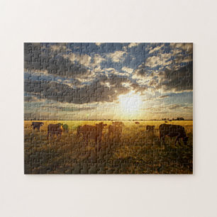 Cattle In Field, Sunset Jigsaw Puzzle