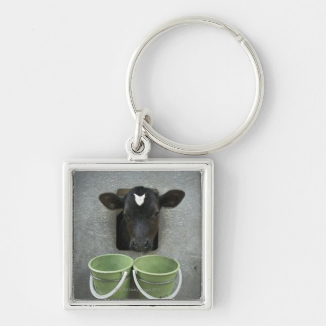 Cattle, Individual Pen Keychain (Front)