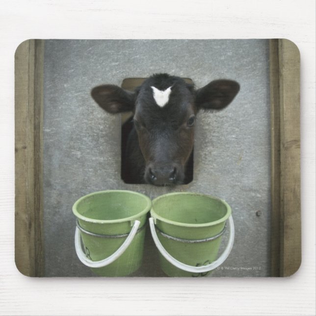 Cattle, Individual Pen Mouse Pad (Front)