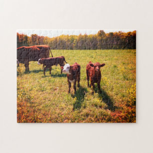 Cattle Jigsaw Puzzle