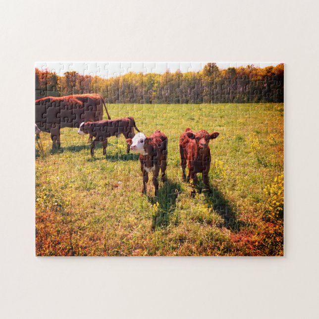 Cattle Jigsaw Puzzle (Horizontal)