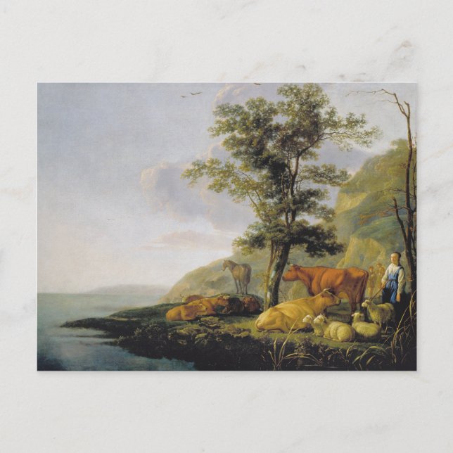 Cattle near a River  Aelbert Cuyp   Postcard (Front)