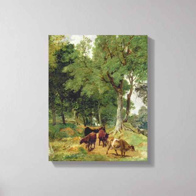 Cattle on a Devonshire Lane Canvas Print (Front)