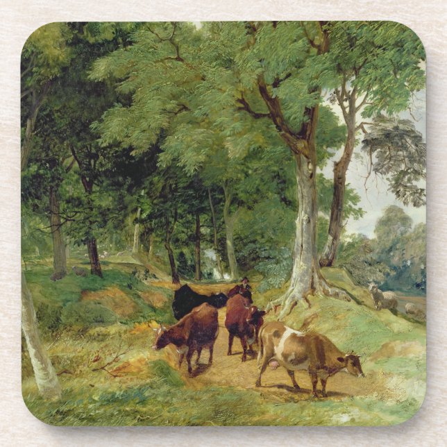 Cattle on a Devonshire Lane Coaster (Front)